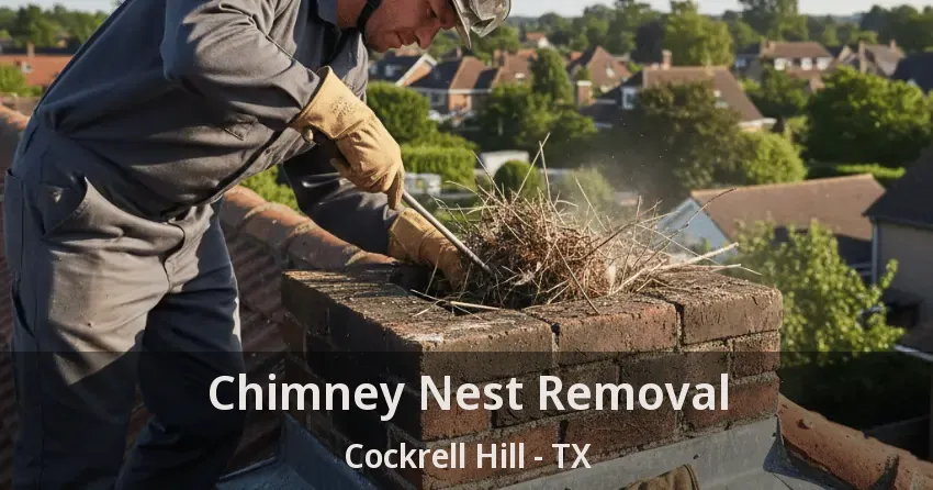 Chimney Nest Removal Cockrell Hill - TX