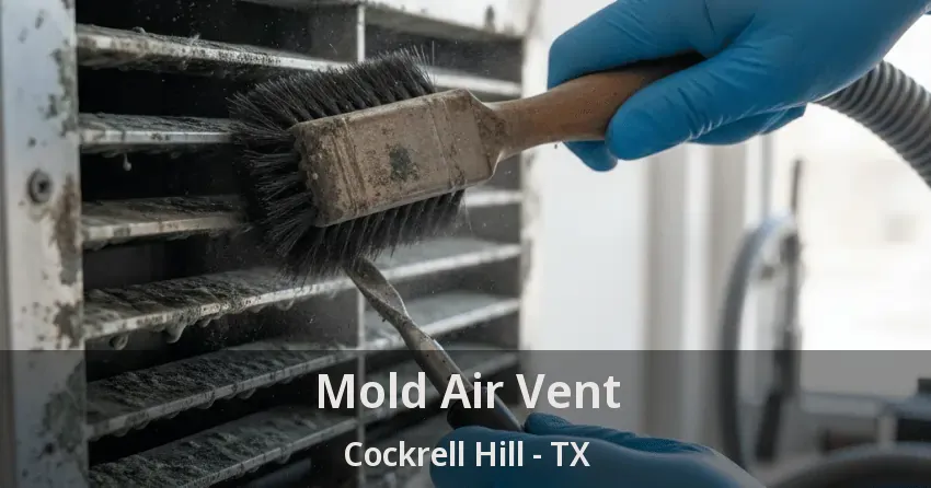 Mold Air Vent Cockrell Hill - TX