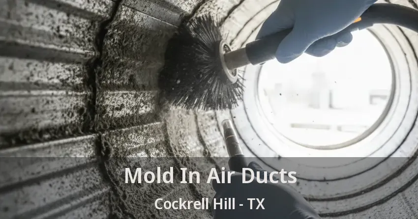 Mold In Air Ducts Cockrell Hill - TX