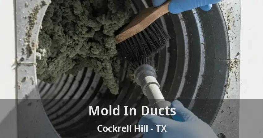 Mold In Ducts Cockrell Hill - TX