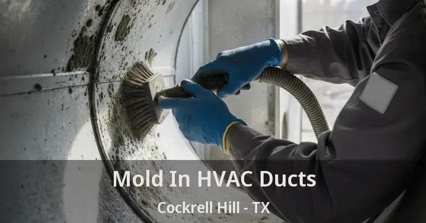 Mold In HVAC Ducts Cockrell Hill - TX